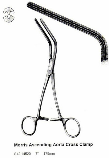 Morris Ascending Aorta Clamp, Debakey Teeth, Long, Jaw Length 7.5 Cm From Angle To Tip, 10" (25.0 Cm)
